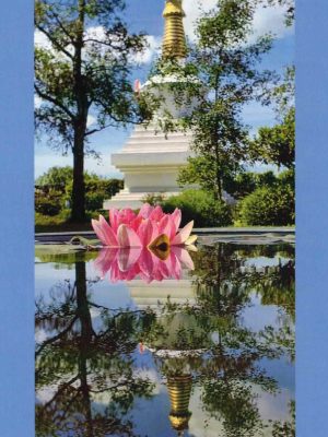 Kamalashila Institut – Stupa